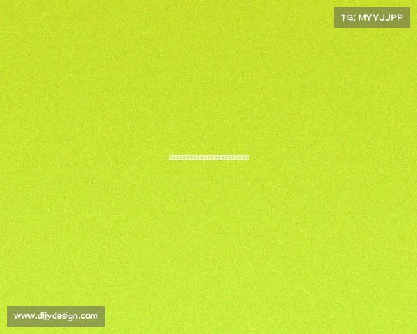 足球转会合同中的关键条款解析与背后影响因素探讨